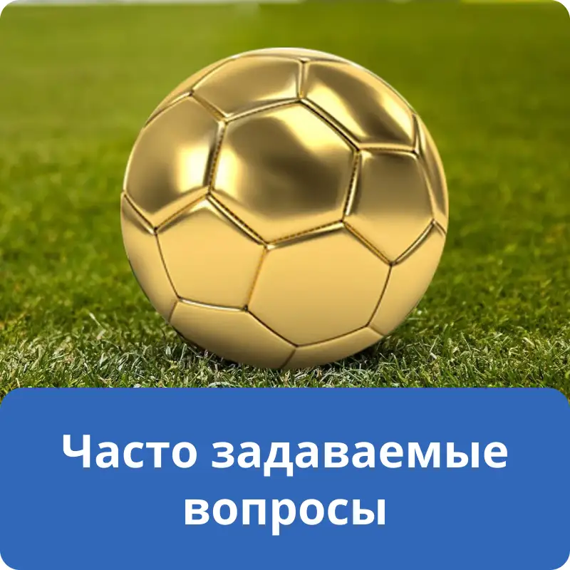 Часто задаваемые вопросы Часто задаваемые вопросы